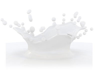 lavorazione latte